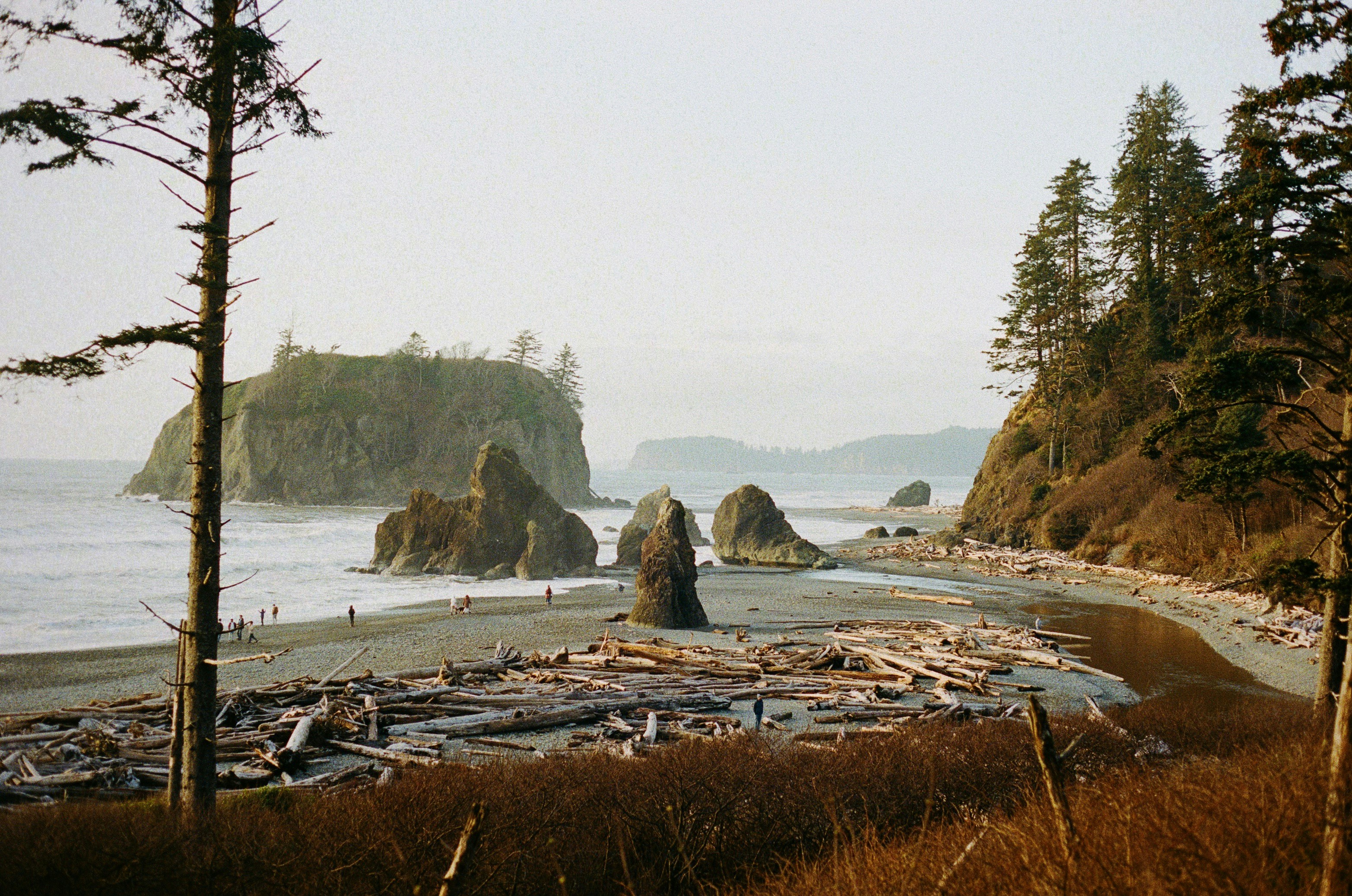 Explore a National Park